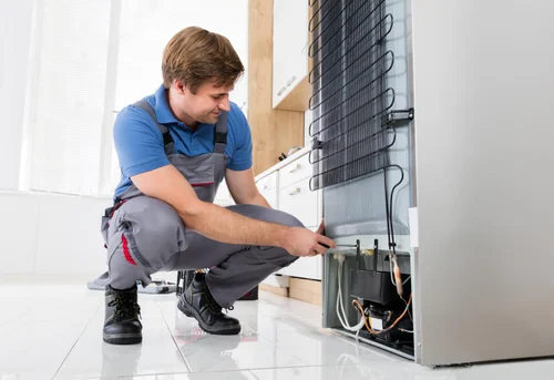 Samsung side-by-side refrigerator repair in Chrompet